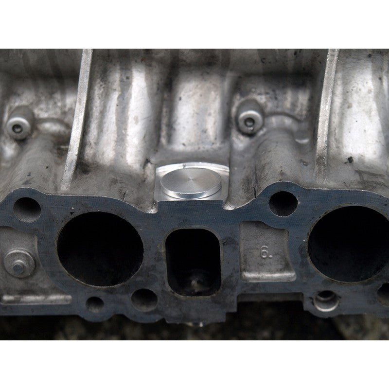 Kit di Rimozione Farfalle di Aspirazione (Swirl Flap) Ø18,5 mm per Motori 1.9 JTD, CDTI, TiD (Fiat, Alfa Romeo, Opel, Saab)