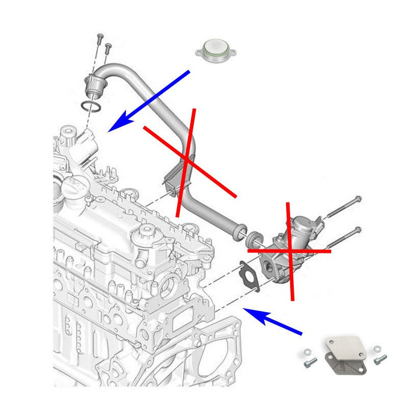 Kit di eliminazione della piastra di chiusura EGR per Citroen C2 C2 Peugeot 206 Ford Fiesta con motore 1.4 8V HDI TDCI DV4TD