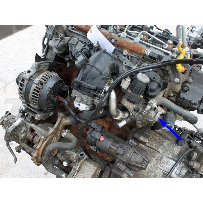 PIASTRA DI CHIUSURA VALVOLA EGR CON GUARNIZIONI PER TRANSIT RANGER JUMPER BOXER CON MOTORI 2.2 3.2 TDCI HDI