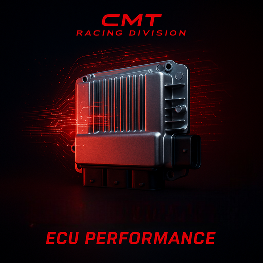 Programmazione ECU