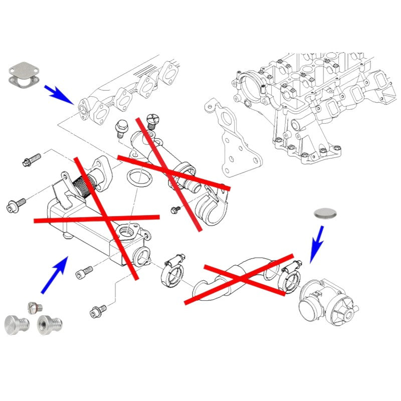 Kit di rimozione del radiatore EGR e del termostato per motori diesel BMW M47N2 M57N2 2.0 3.0
